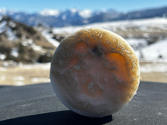 Exfoliating Luffa Bar